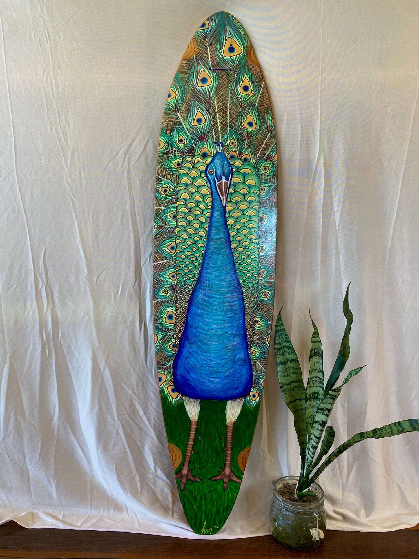 Peacock Presence