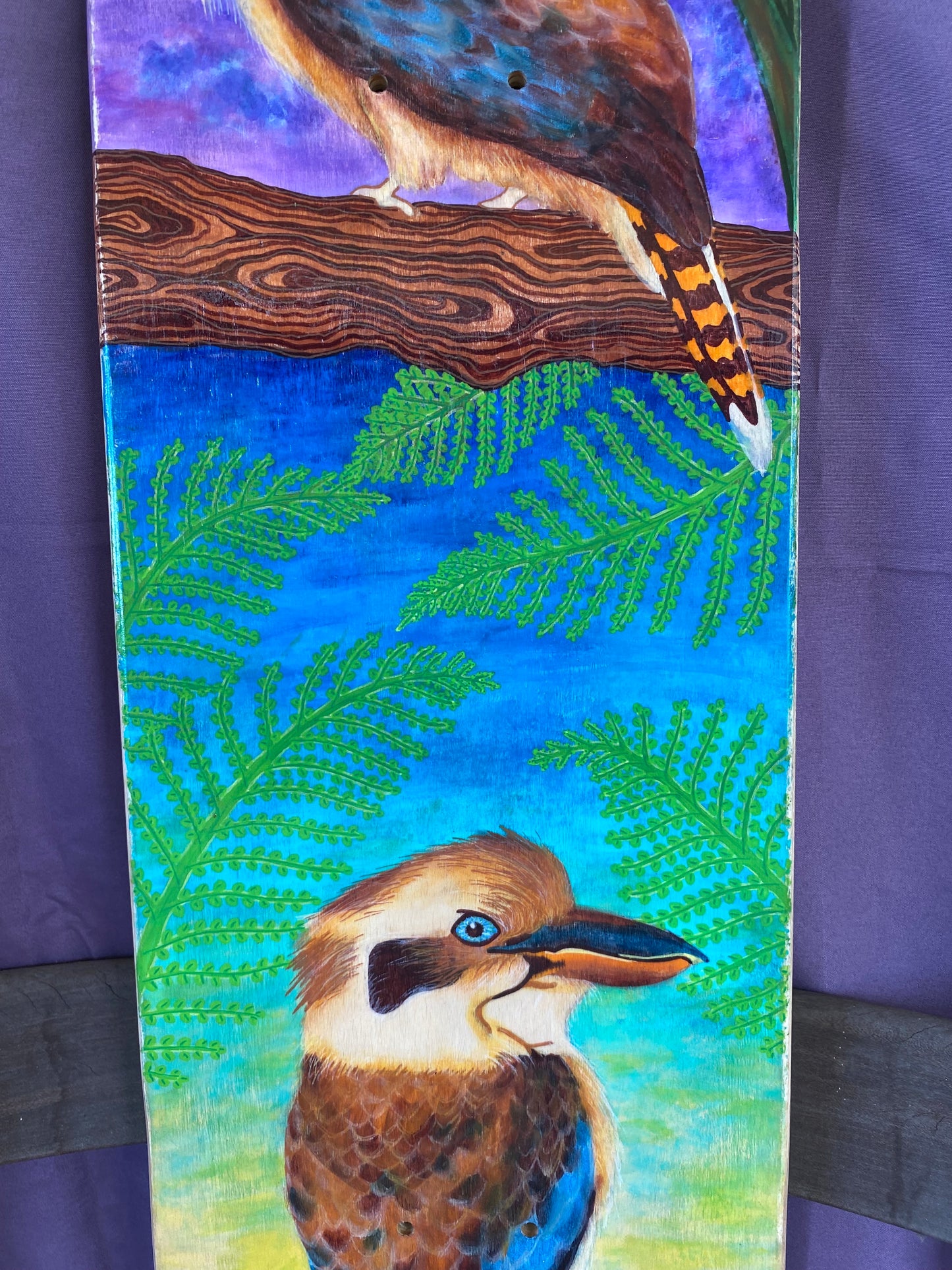 kookaburra among the banksia