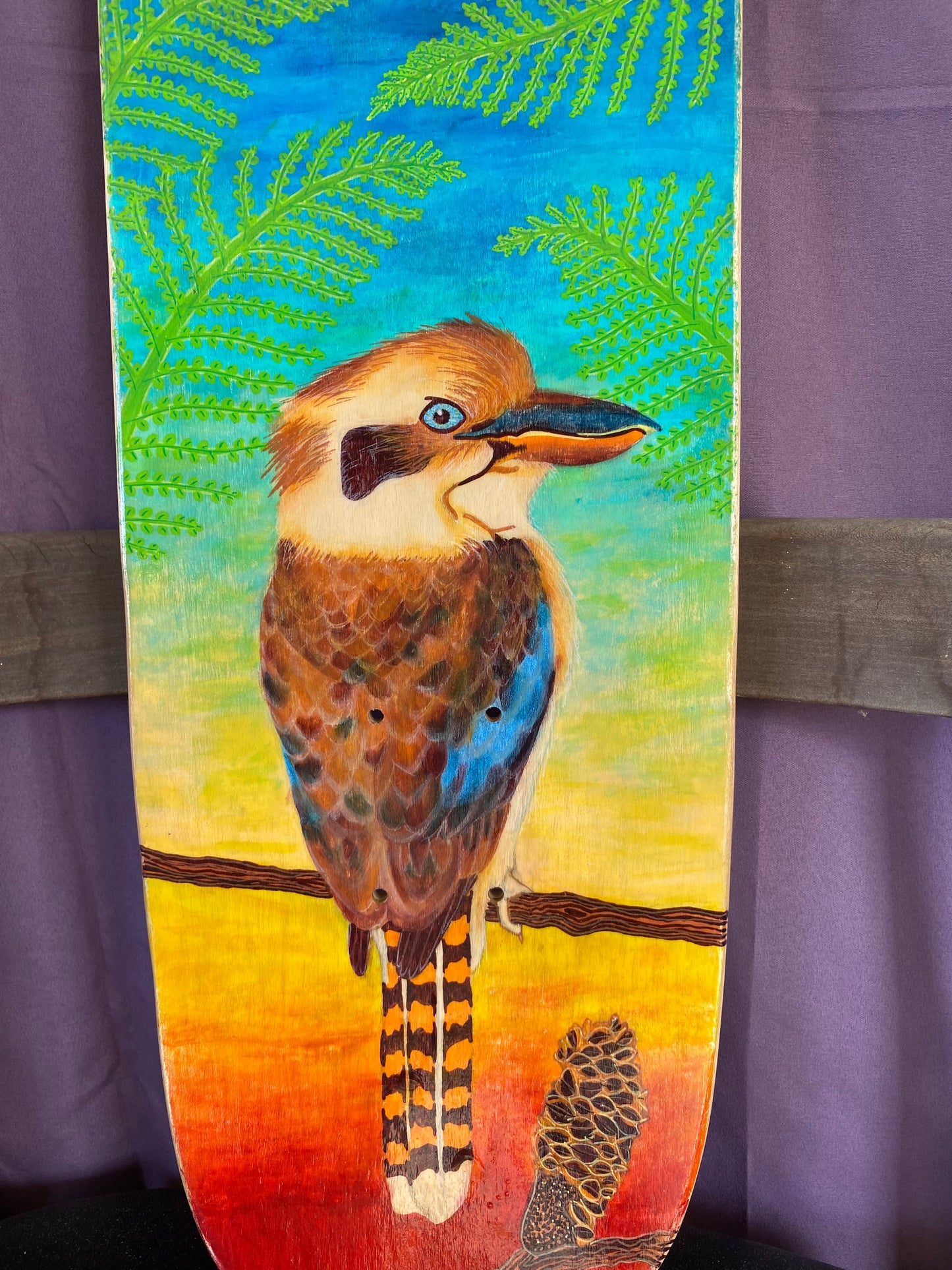 kookaburra among the banksia