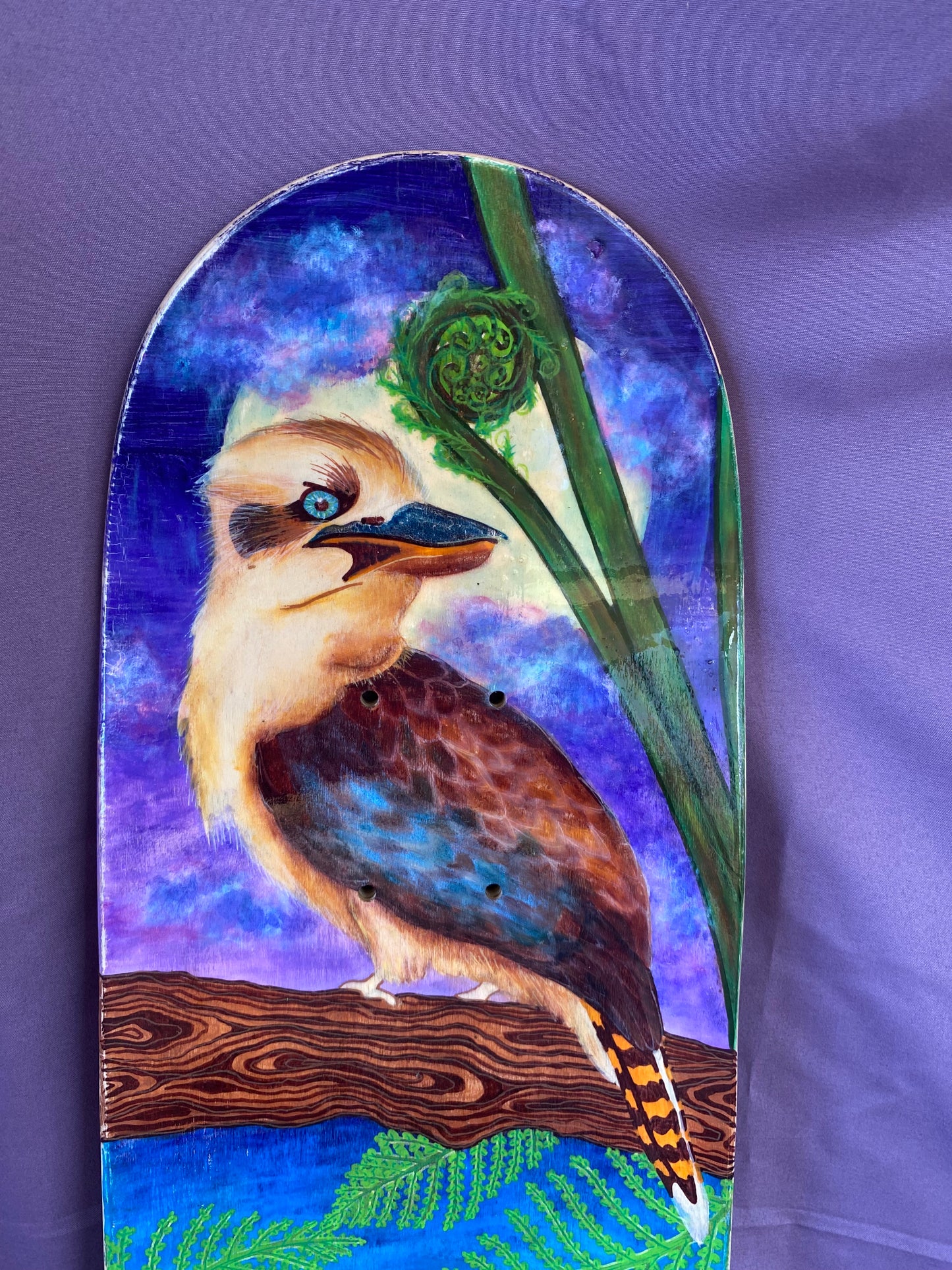 kookaburra among the banksia