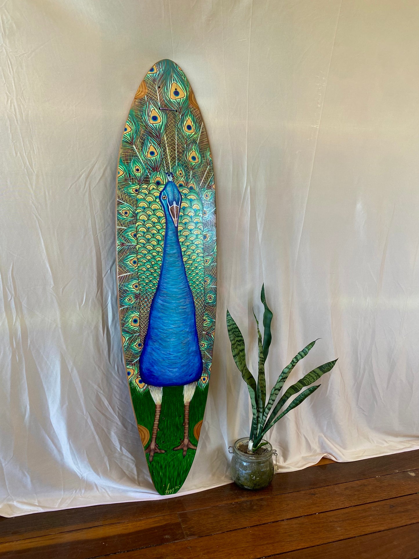 Peacock Presence
