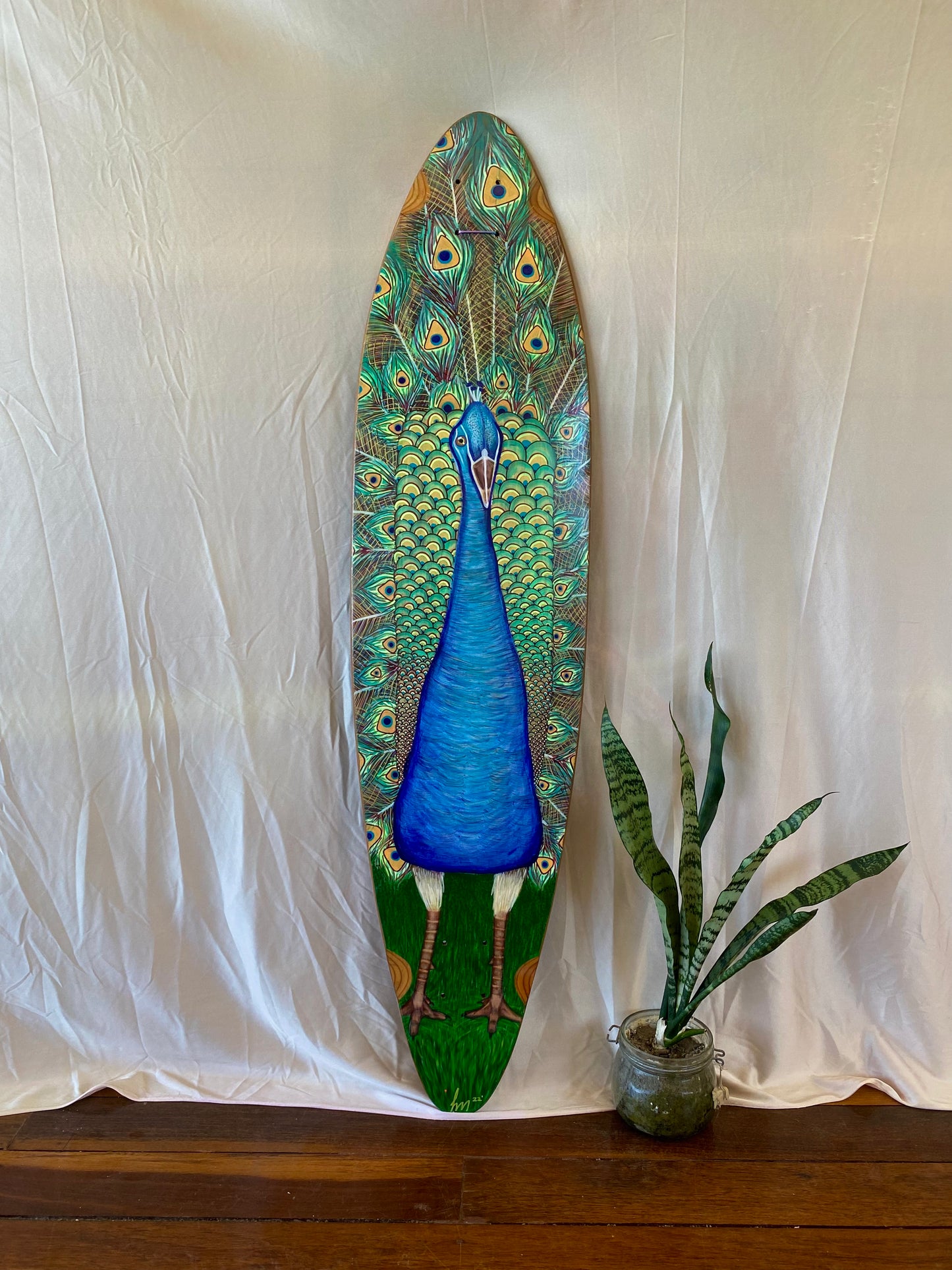 Peacock Presence